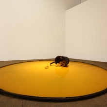 Sibel Horada, A Void in Retrospect, 2015, installation shot. photo: Michael Horada.